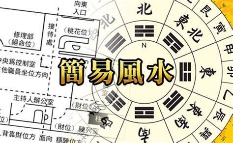 自來鳥麻雀|MASTERSO.COM 蘇民峰命理風水網站